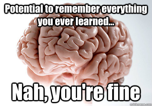 Potential to remember everything you ever learned... Nah, you're fine   Scumbag Brain
