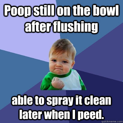 Poop still on the bowl after flushing able to spray it clean later when I peed.  Success Kid