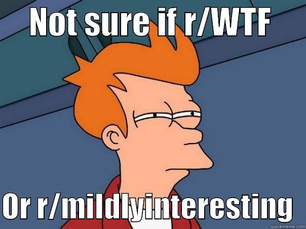     NOT SURE IF R/WTF       OR R/MILDLYINTERESTING  Futurama Fry