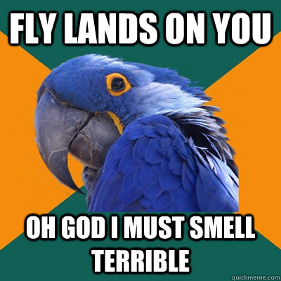 Fly lands on you oh god i must smell terrible  Paranoid Parrot