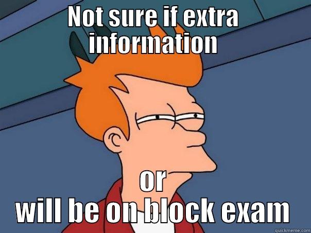 NOT SURE IF EXTRA INFORMATION OR WILL BE ON BLOCK EXAM Futurama Fry