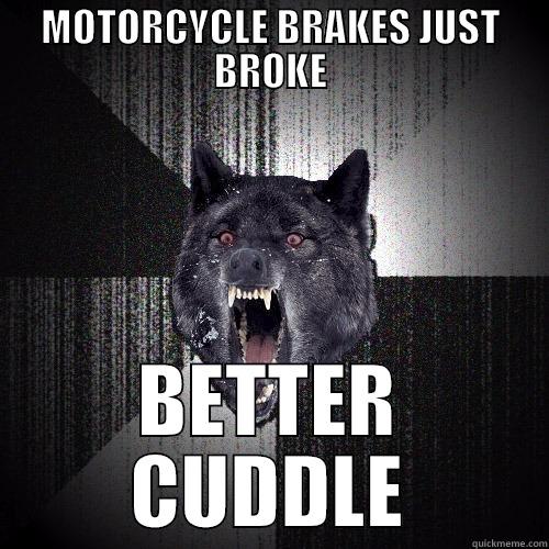 MOTORCYCLE BRAKES JUST BROKE BETTER CUDDLE Insanity Wolf