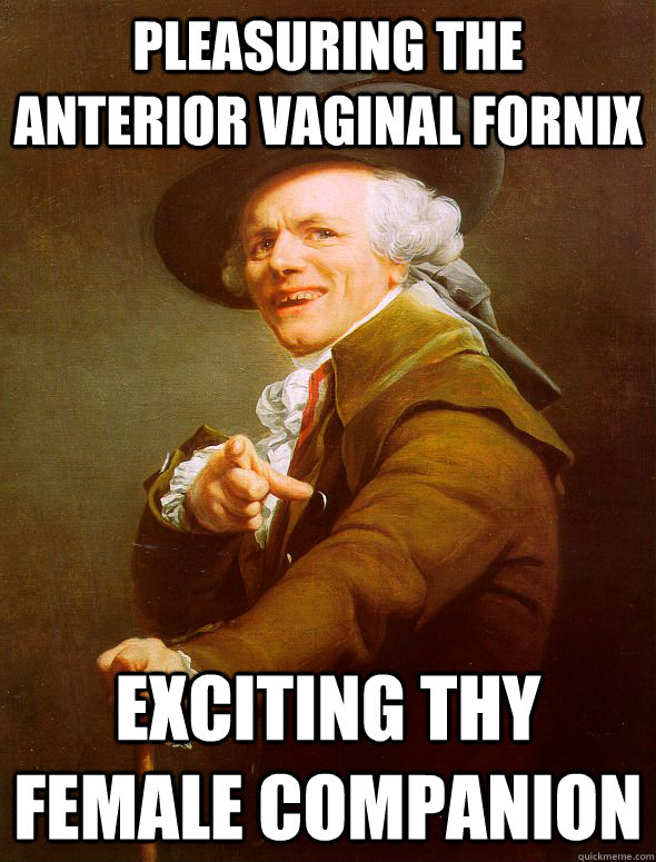 pleasuring the anterior vaginal fornix exciting thy female companion   Joseph Ducreux