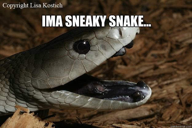 IMA SNEAKY SNAKE...  socialsnake