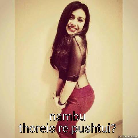  NAMBU THOREIS RE PUSHTUI? Misc