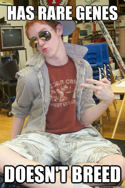 HAS RARE GENES DOESN'T BREED - HAS RARE GENES DOESN'T BREED  Gay Ginger