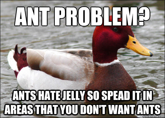 Ant Problem?
 Ants hate jelly so spead it in areas that you don't want ants  Malicious Advice Mallard