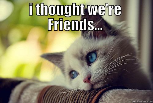 crying little kitten - I THOUGHT WE'RE FRIENDS...  First World Problems Cat