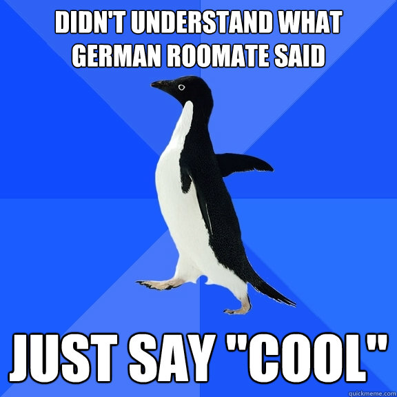 Didn't understand what german roomate said just say 