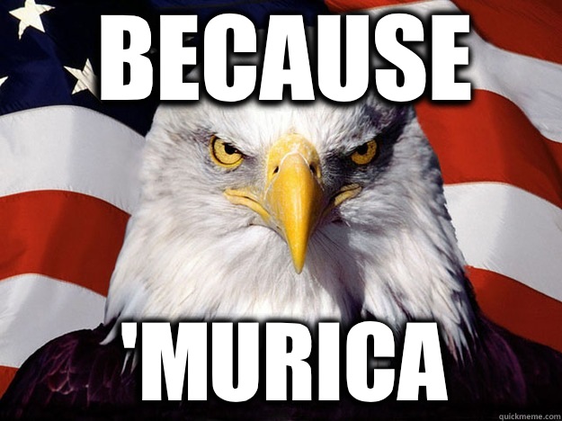 Because 'Murica  Patriotic Eagle