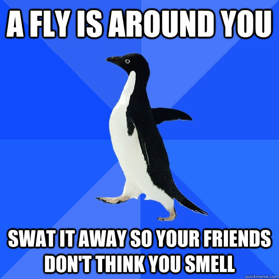 A fly is around you Swat it away so your friends don't think you smell  Socially Awkward Penguin