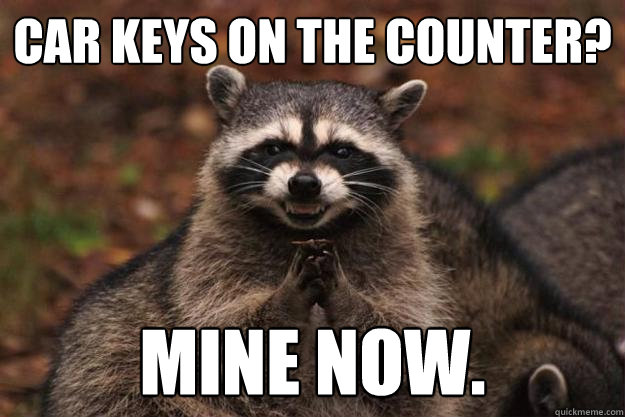 car keys on the counter? mine now.  Evil Plotting Raccoon