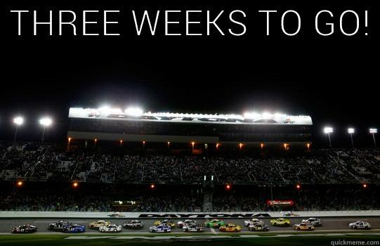 Countdown Til Daytona!  -  THREE WEEKS TO GO!   Misc