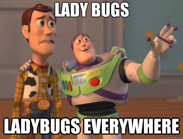LADY BUGS LADYBUGS EVERYWHERE  Toy Story