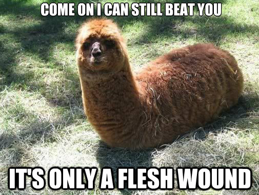 come on i can still beat you it's only a flesh wound   Alpacapillar