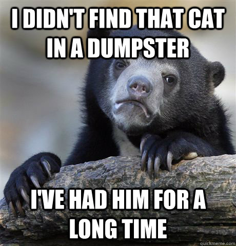 I didn't find that cat in a dumpster i've had him for a long time  Confession Bear