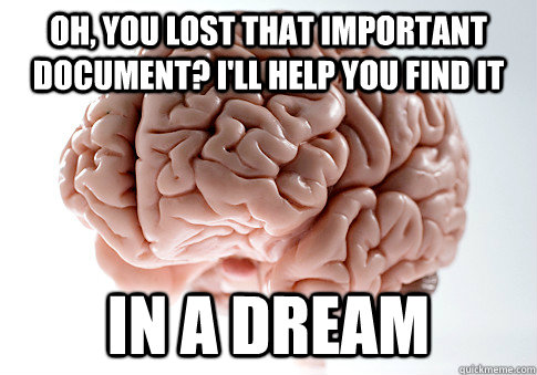 Oh, you lost that important document? I'll help you find it in a dream  Scumbag Brain