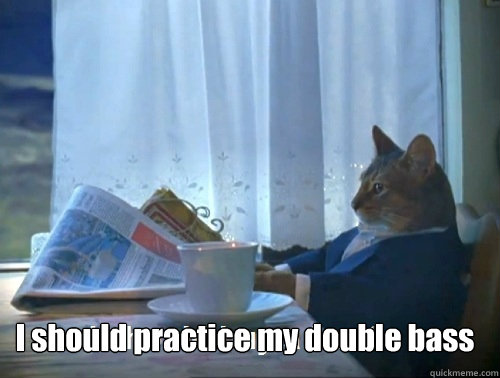  I should practice my double bass -  I should practice my double bass  Rich cat is rich