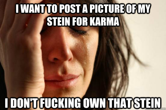 I want to post a picture of my stein for karma I don't fucking own that stein  First World Problems