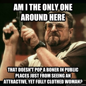 Am i the only one around here That doesn't pop a boner in public places just from seeing an attractive, yet fully clothed woman?  Am I The Only One Round Here