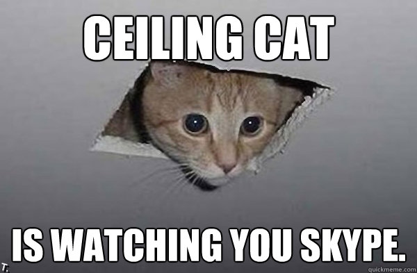 Ceiling Cat is watching you skype. - Ceiling Cat is watching you skype.  Ceiling cat skype