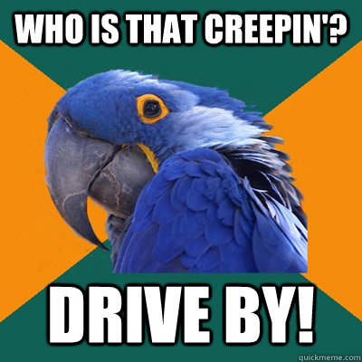 Who is that creepin'? drive by!  Paranoid Parrot