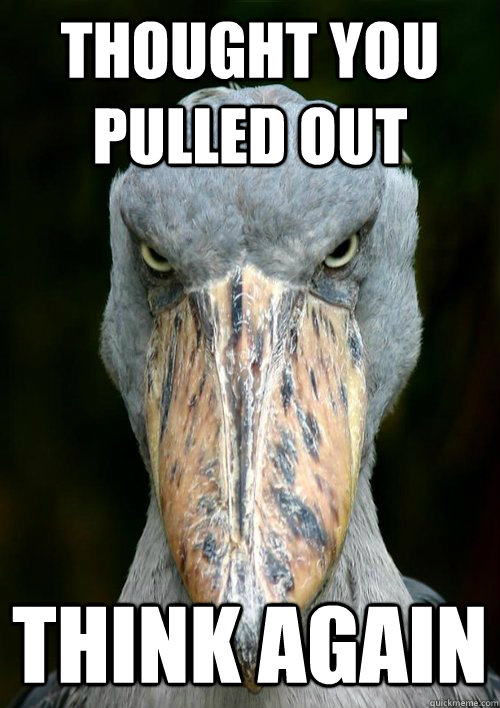 thought you pulled out think again - thought you pulled out think again  Evil Stork