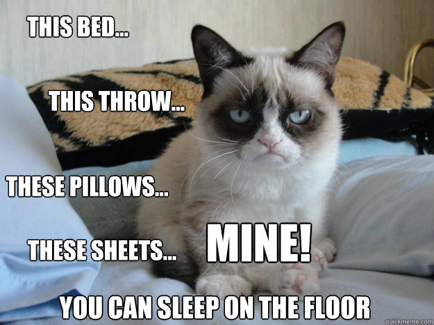 these pillows... these sheets... this bed... mine! you can sleep on the floor THIS THROW... - these pillows... these sheets... this bed... mine! you can sleep on the floor THIS THROW...  Misc