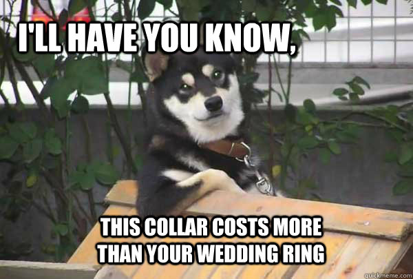 i'll have you know, this collar costs more than your wedding ring   
