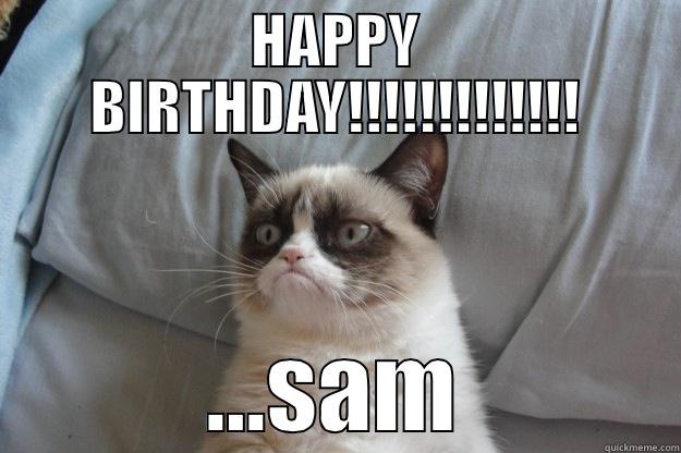 happy birthday sam - HAPPY BIRTHDAY!!!!!!!!!!!!! ...SAM Grumpy Cat
