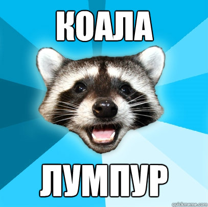 КОАЛА ЛУМПУР  Lame Pun Coon