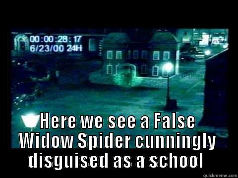  HERE WE SEE A FALSE WIDOW SPIDER CUNNINGLY DISGUISED AS A SCHOOL  Misc