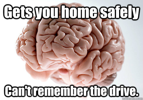 Gets you home safely Can't remember the drive.  - Gets you home safely Can't remember the drive.   Scumbag Brain