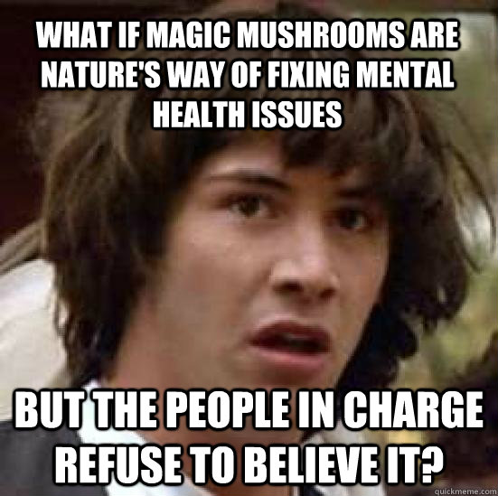 what if magic mushrooms are nature's way of fixing mental health issues But the people in charge refuse to believe it?  conspiracy keanu