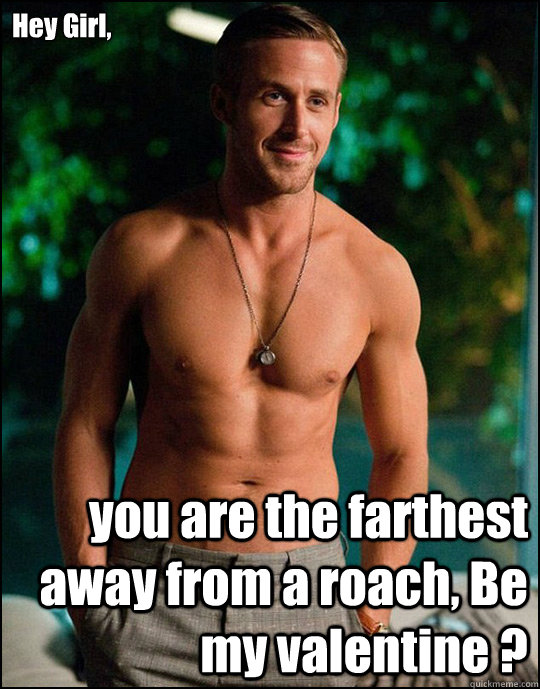 Hey Girl,
 you are the farthest away from a roach, Be my valentine ?  - Hey Girl,
 you are the farthest away from a roach, Be my valentine ?   ryangosling