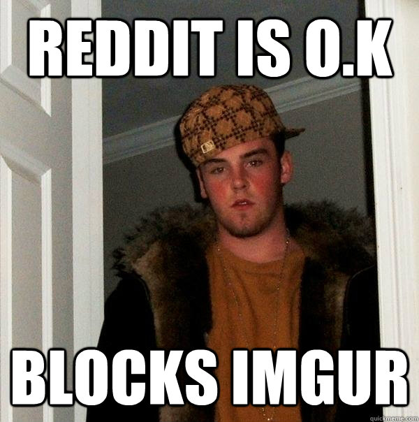 Reddit is o.k blocks imgur  Scumbag Steve