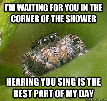 I'm waiting for you in the corner of the shower hearing you sing is the best part of my day  Misunderstood Spider