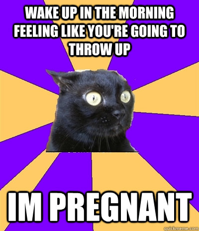 Wake up in the morning feeling like you're going to throw up im pregnant - Wake up in the morning feeling like you're going to throw up im pregnant  Anxiety Cat