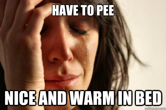 have to pee  Nice and warm in bed   First World Problems