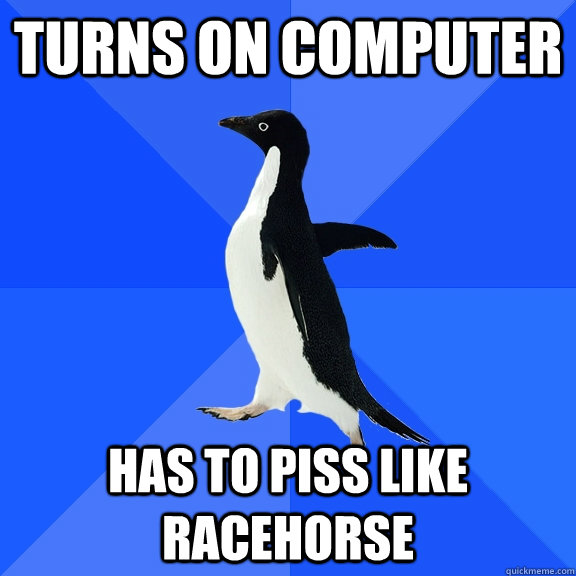 Turns on computer has to piss like racehorse  Socially Awkward Penguin