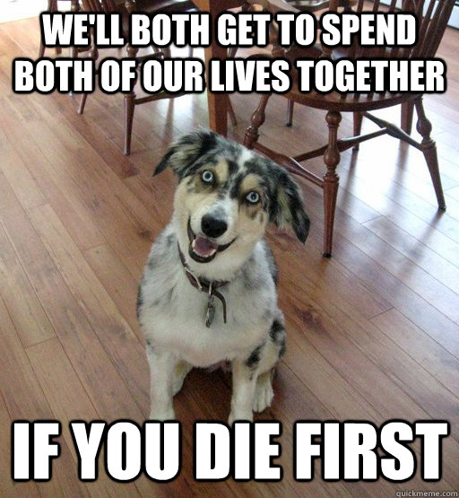 We'll both get to spend both of our lives together if you die first - We'll both get to spend both of our lives together if you die first  Overly Attached Dog