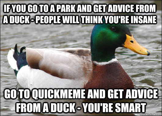 if you go to a park and get advice from a duck - people will think you're insane go to quickmeme and get advice from a duck - you're smart  Actual Advice Mallard