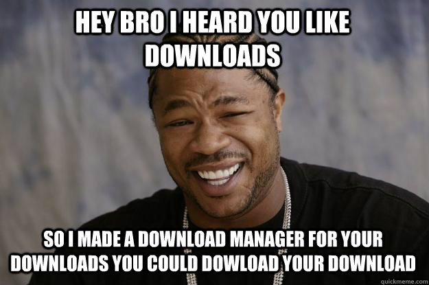 Hey bro i heard you like downloads so i made a download manager for your downloads you could dowload your download  Xzibit meme