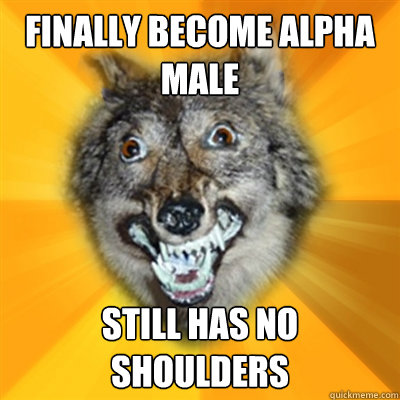 finally Become Alpha male still has no shoulders  Retarded Wolf