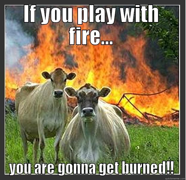 IF YOU PLAY WITH FIRE... YOU ARE GONNA GET BURNED!! Evil cows