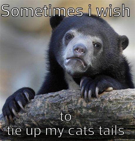 SOMETIMES I WISH  TO TIE UP MY CATS TAILS Confession Bear