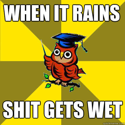 when it rains shit gets wet  Observational Owl