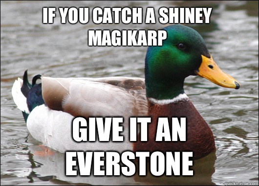 If you catch a shiney magikarp Give it an everstone  Actual Advice Mallard