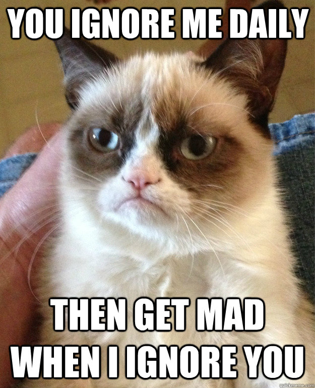 You ignore me daily Then get mad when i ignore you - You ignore me daily Then get mad when i ignore you  Grumpy Cat