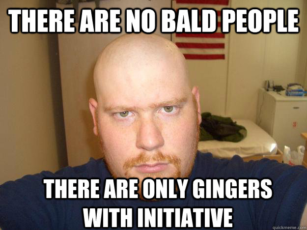 THERE Are no bald people There are only gingers with initiative - THERE Are no bald people There are only gingers with initiative  BALD GINGER